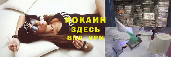 индика Горно-Алтайск