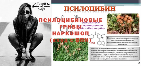 индика Горно-Алтайск