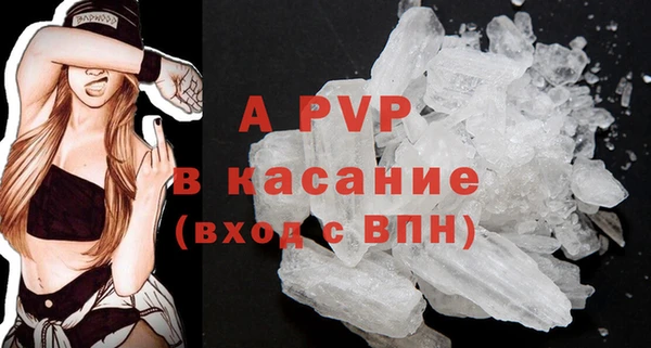 индика Горно-Алтайск