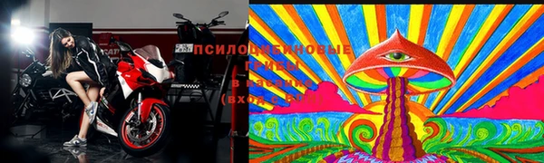 индика Горно-Алтайск