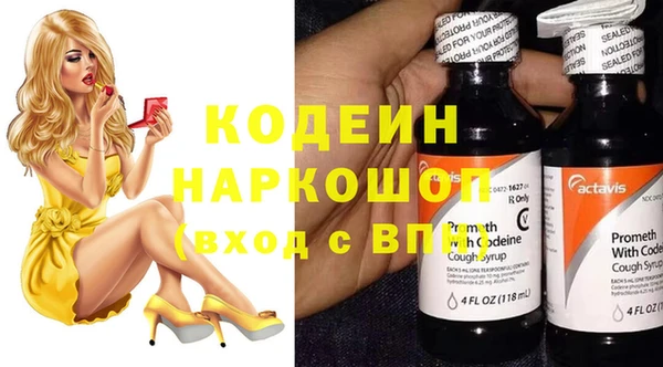 индика Горно-Алтайск