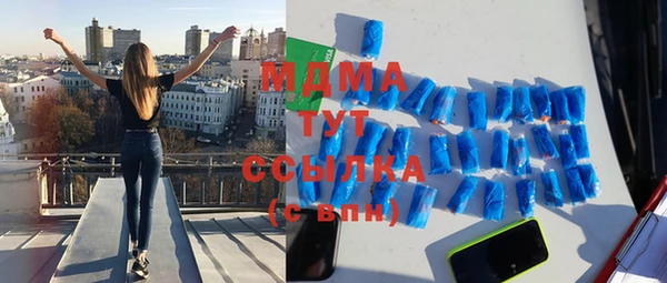 индика Горно-Алтайск