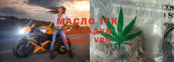 индика Горно-Алтайск