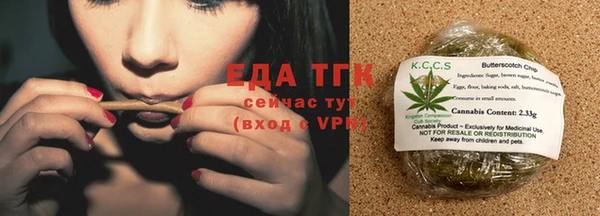 индика Горно-Алтайск